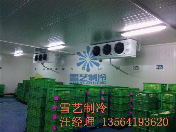 五种常见水果保鲜方法-保鲜冷库