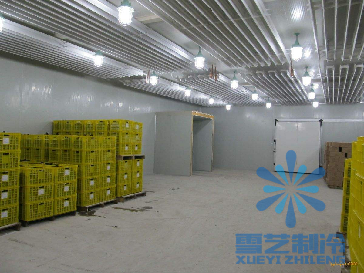 600立方气调保鲜冷库设计安装,气调保鲜冷库