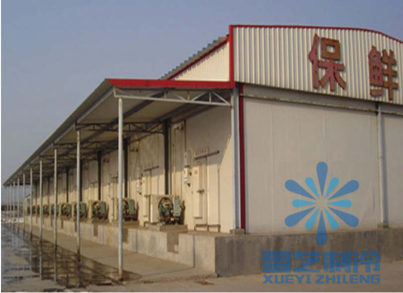 香蕉冷库设计安装,香蕉冷库建造须知