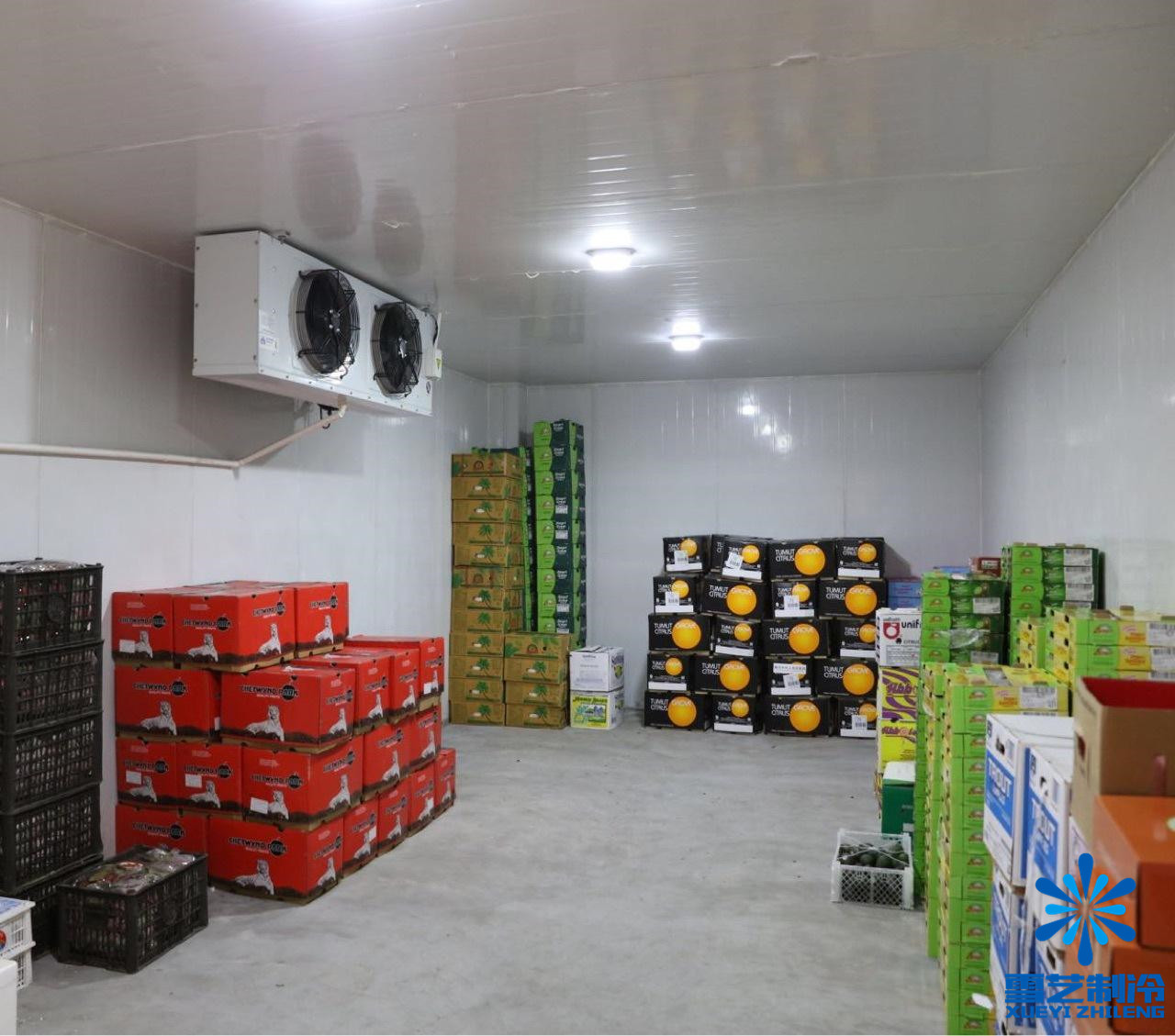 果蔬微型冷库建造能耗及节能方法_上海雪艺制冷科技发展有限公司