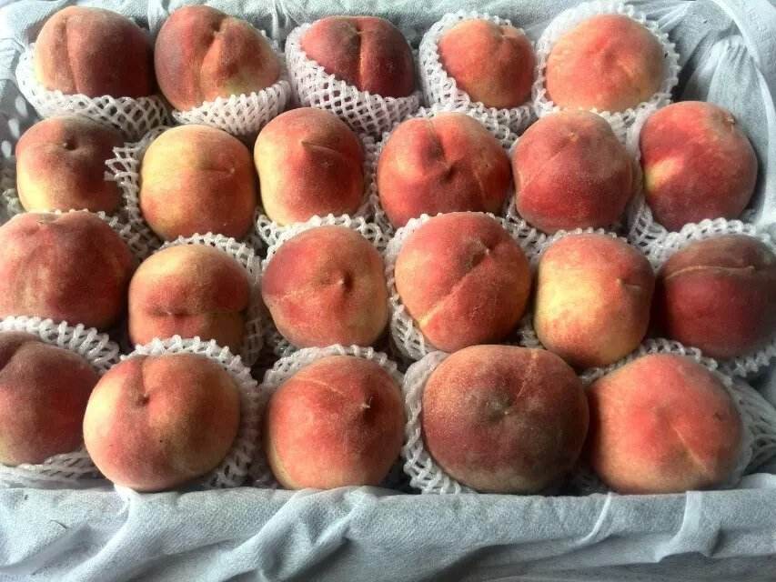 桃子冷库