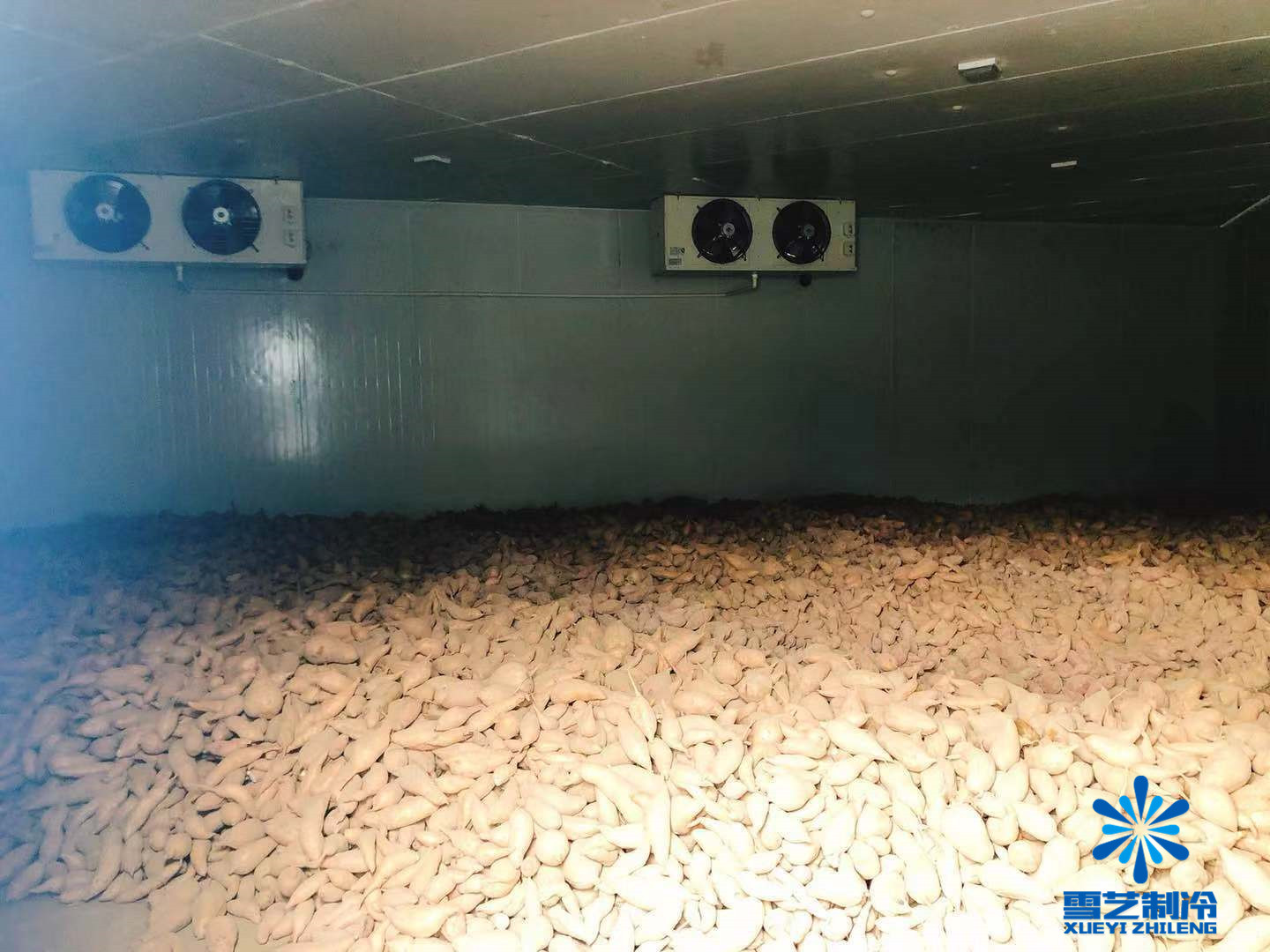 红薯冷库