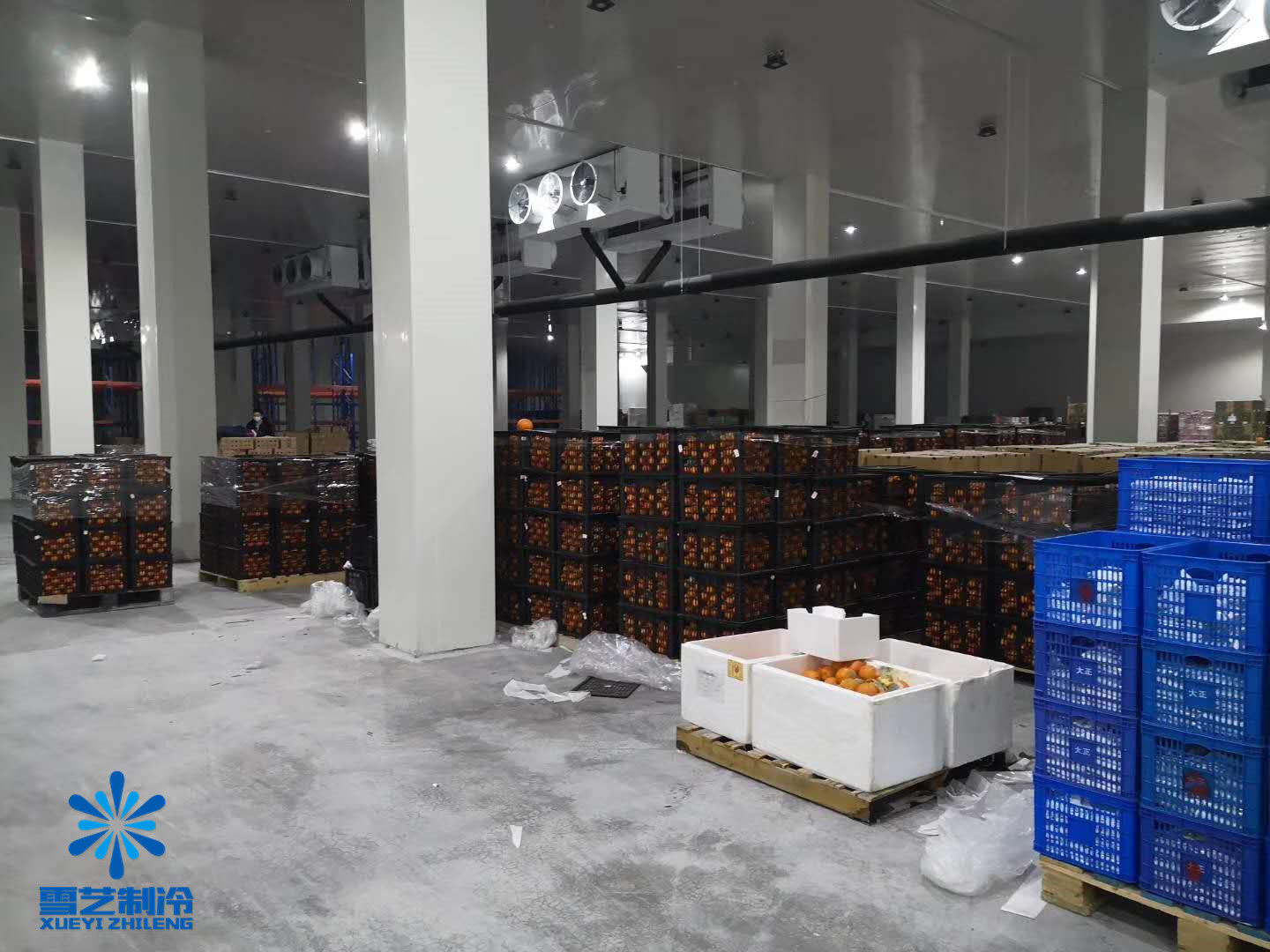 修建100吨水果装配式保鲜冷库造价核算