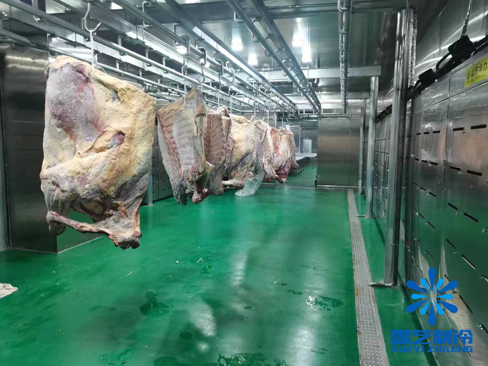 浙江海鲜肉类低温高湿解冻库、缓化库工程案例