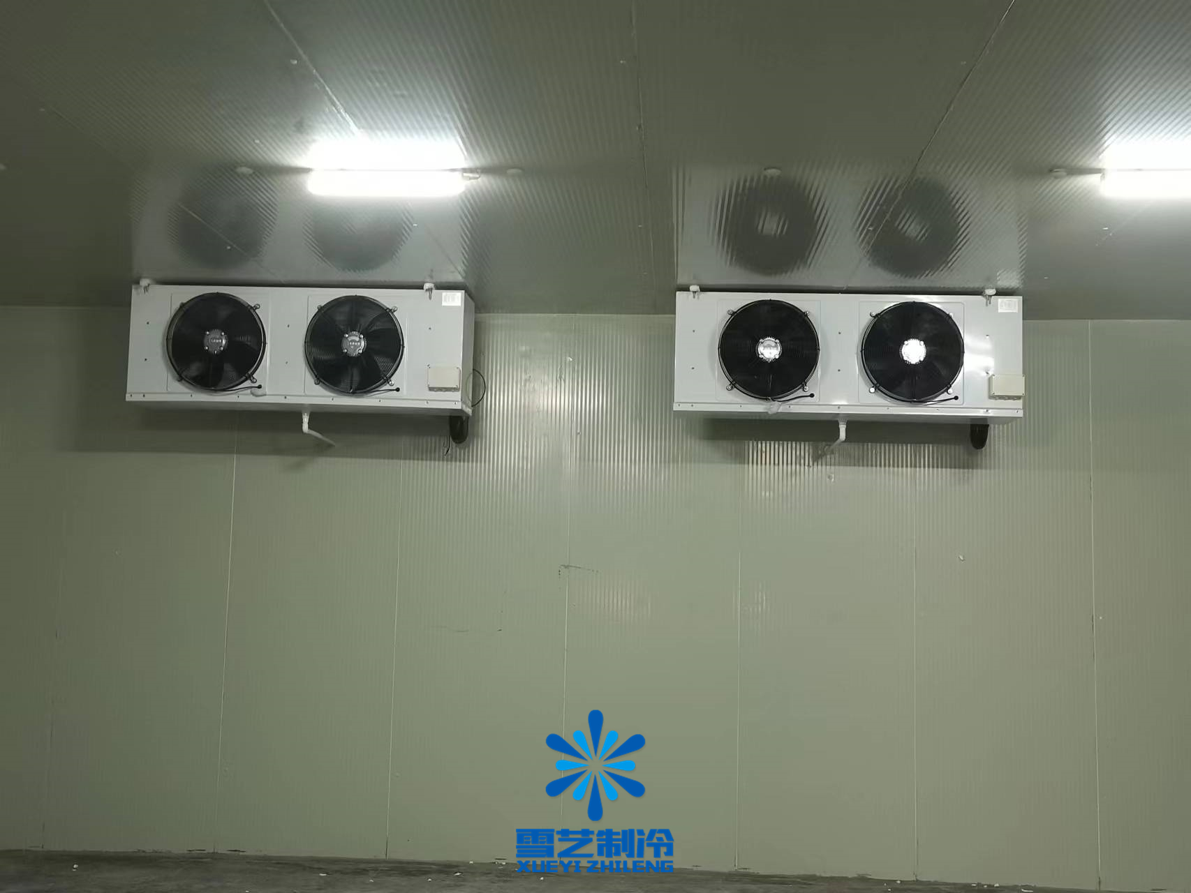 上海200平方米保鲜、冷冻双温冷库工程案例