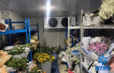 鲜花冷库