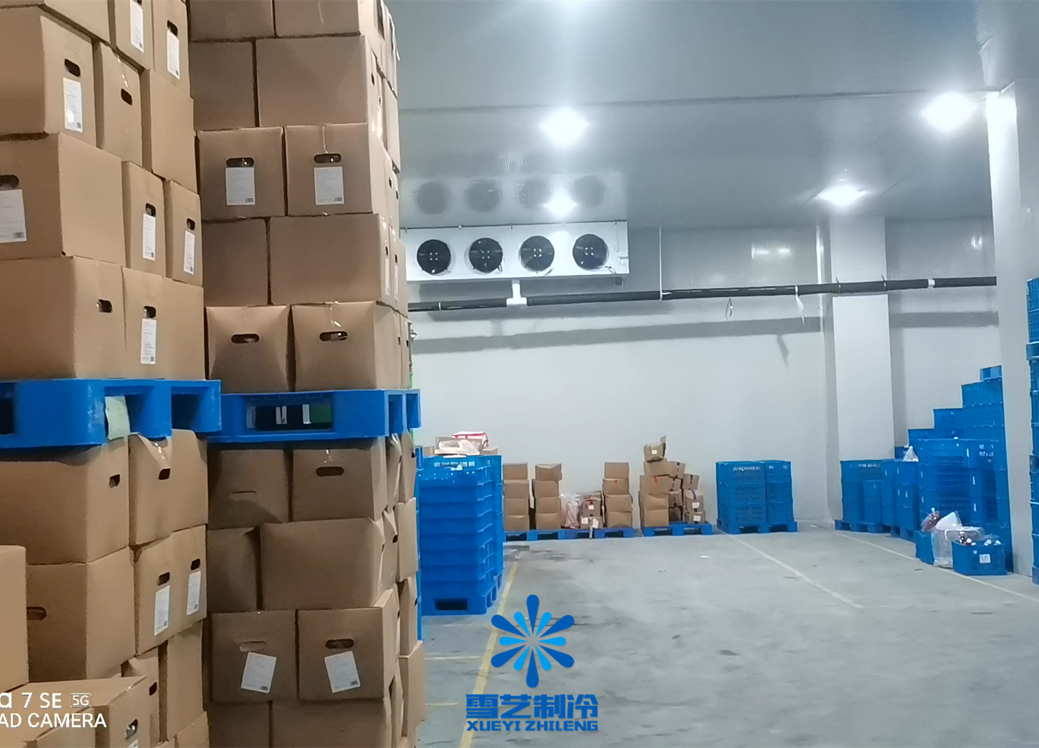 鱼糜低温冷库