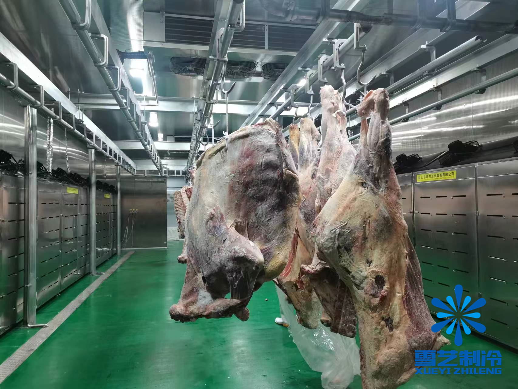 缓化库，肉类解冻冷库