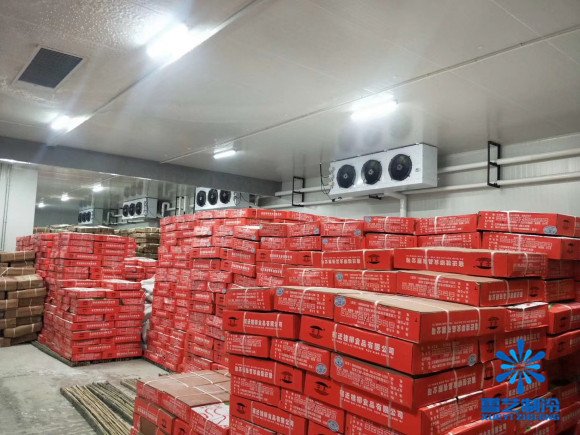 食品冷库找上海雪艺制冷建造