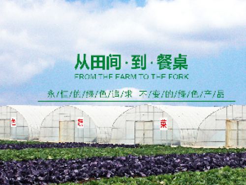 上海博海集团100平蔬菜保鲜库工程